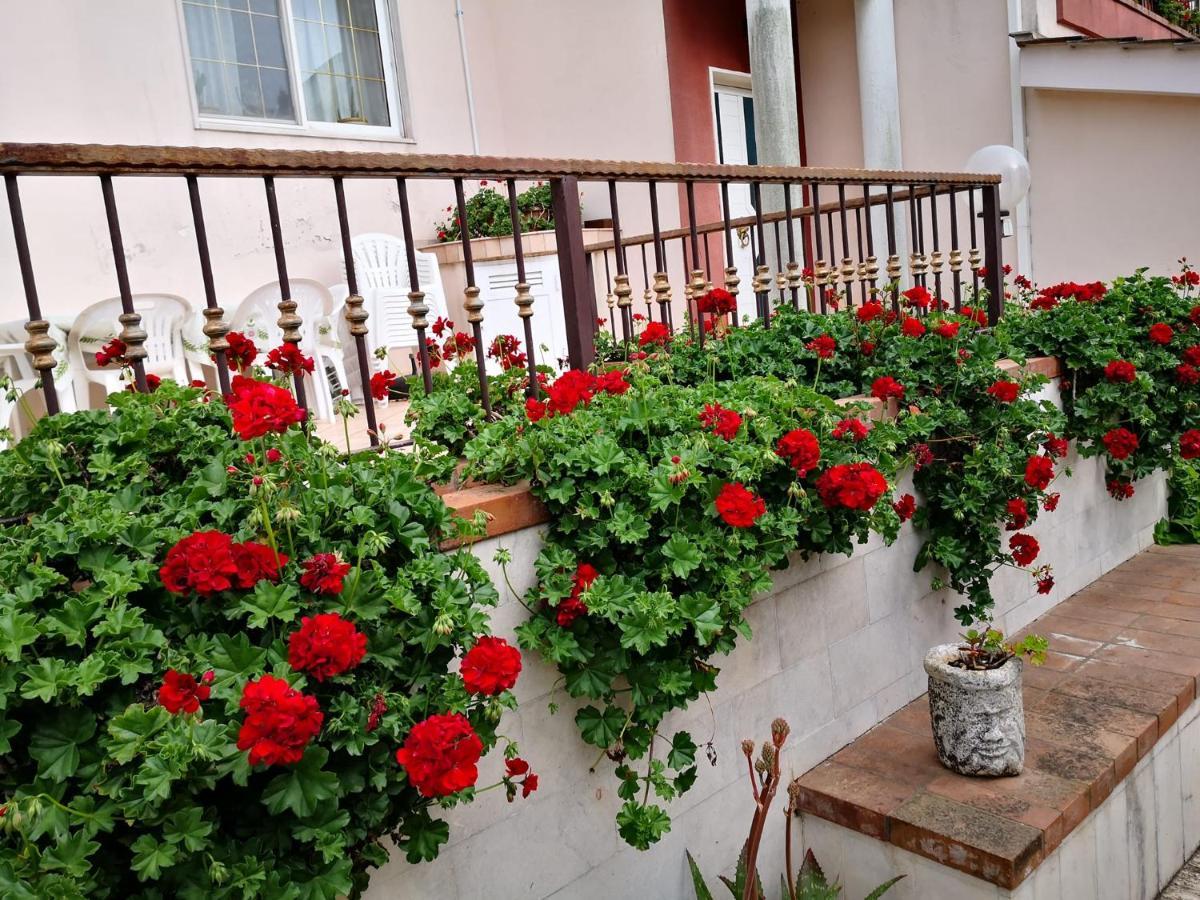 B&B Villa Lena Turi Exterior photo