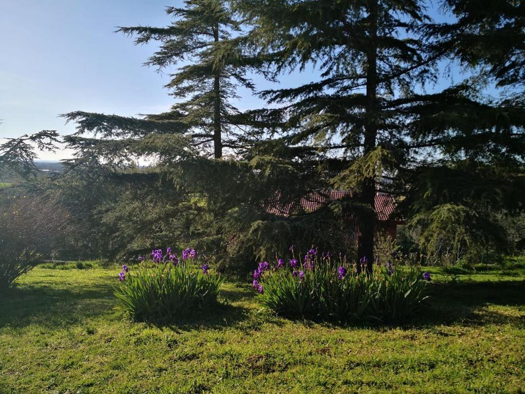B&B Villa Lena Turi Exterior photo