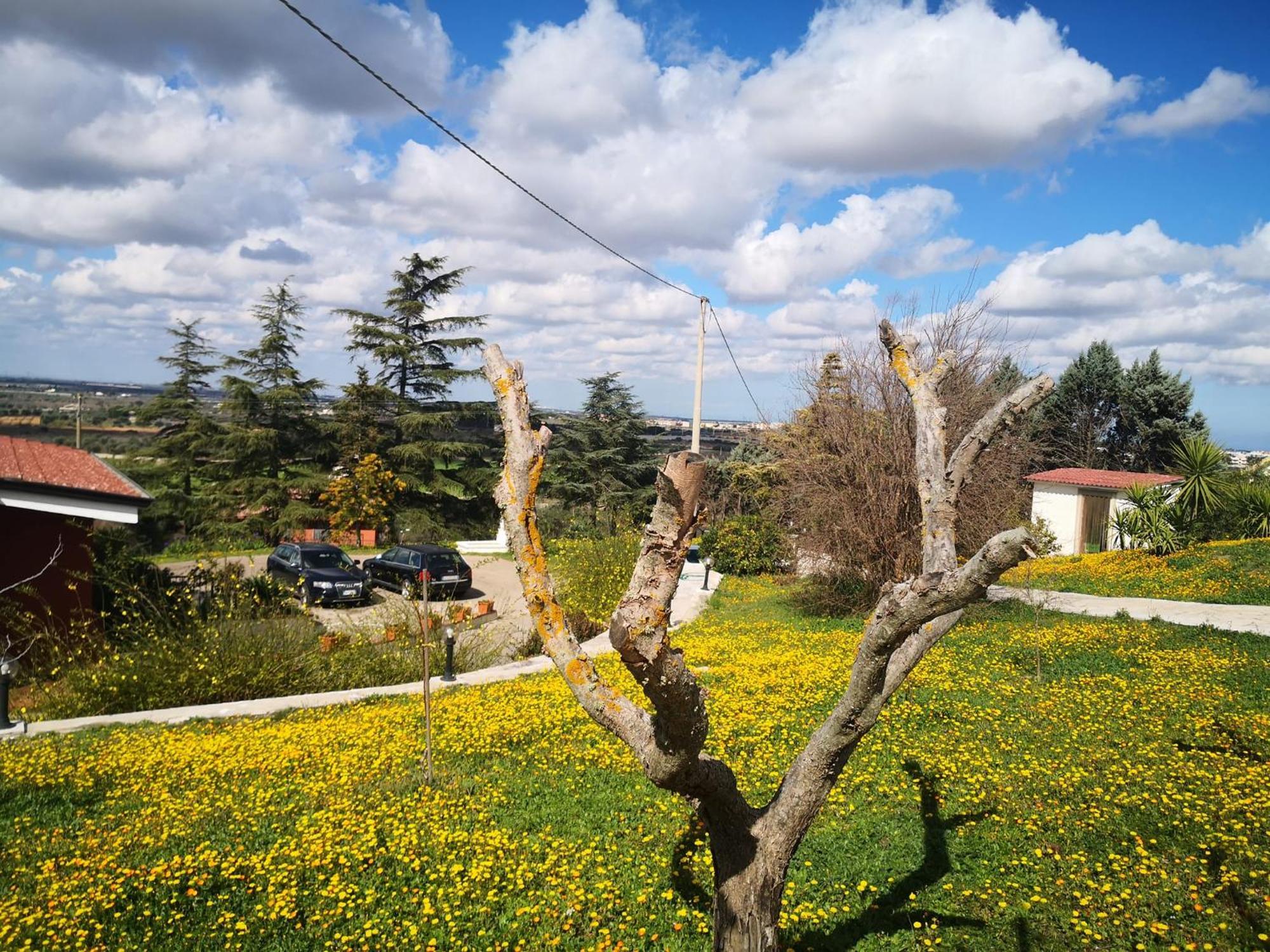 B&B Villa Lena Turi Exterior photo