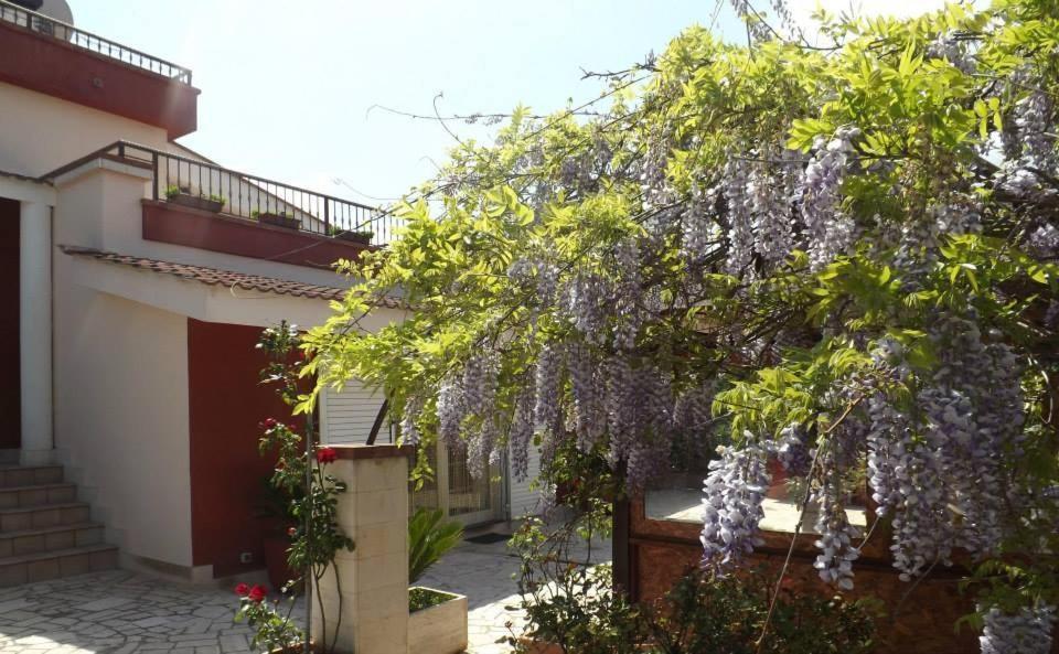 B&B Villa Lena Turi Exterior photo